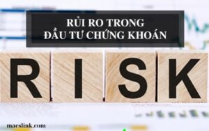 QUẢN LÝ RỦI RO ĐẦU TƯ TẠI DOANH NGHIỆP (2)